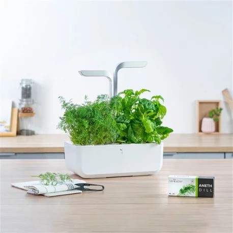 Veritable Lingot mărar - BIO